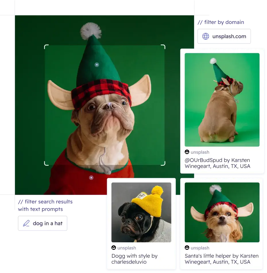 reverse image search of a dog