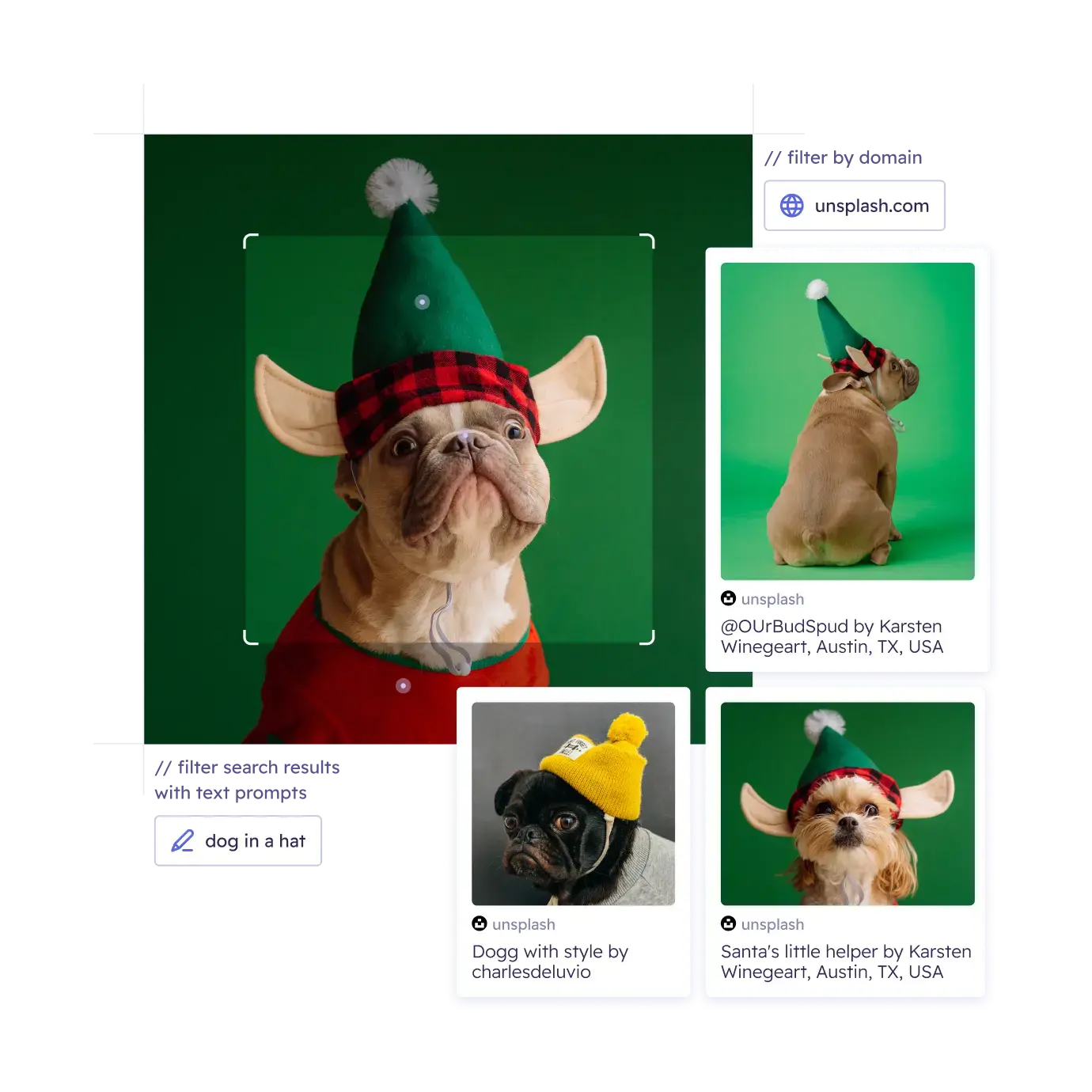 reverse image search of a dog