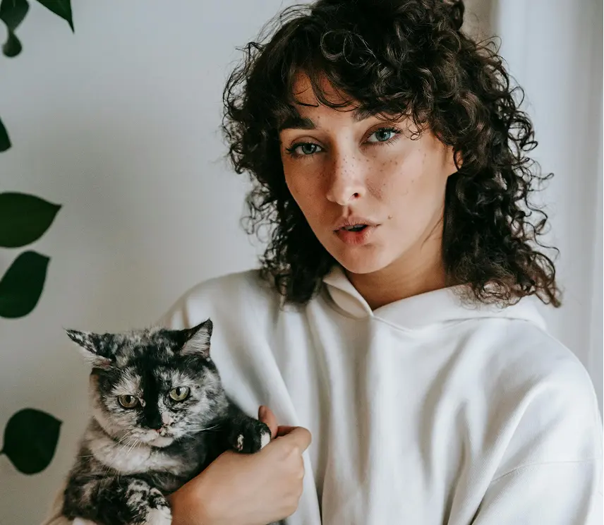 Research mode result