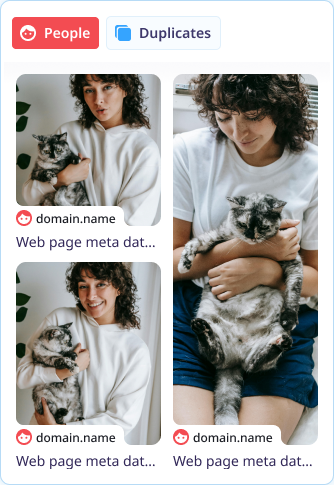 Professional search preview